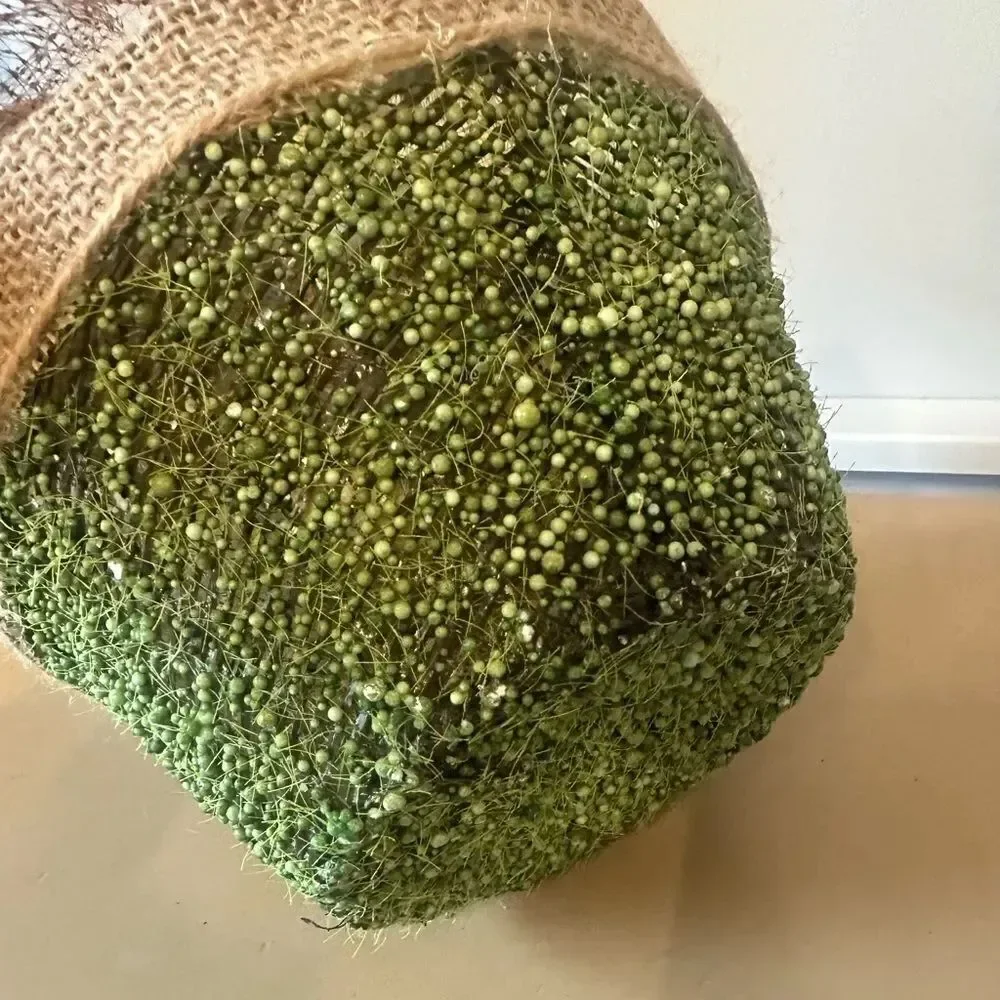 Pier 1 Easter Basket & Faux Easter Eggs